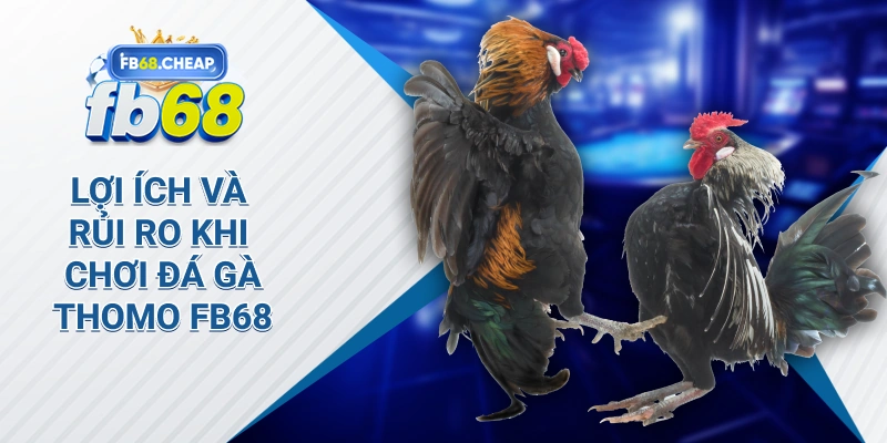 Lợi Ích và Rủi Ro Khi Chơi Đá Gà Thomo Fb68