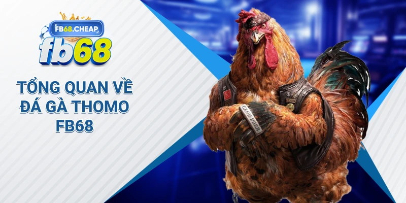 Tổng Quan về Đá Gà Thomo Fb68