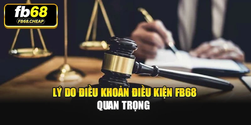 Lý do điều khoản điều kiện Fb68 quan trọng